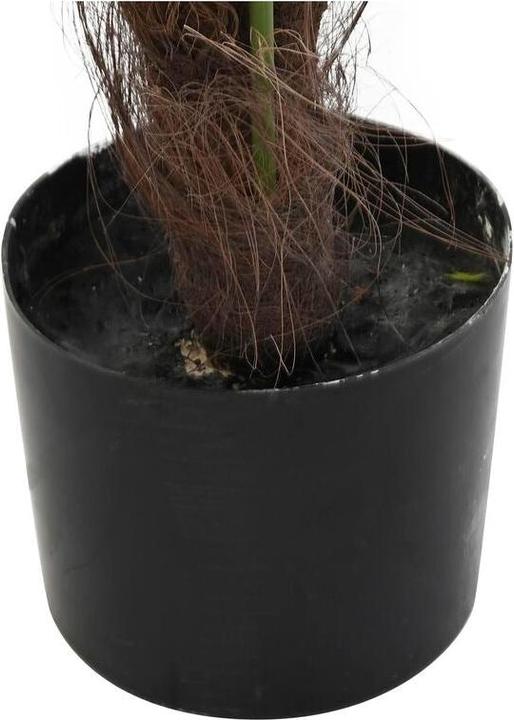 Immagine prodotto DKD Home Decor Dekorationspflanze Palme (100 X 100 X 240 Cm)