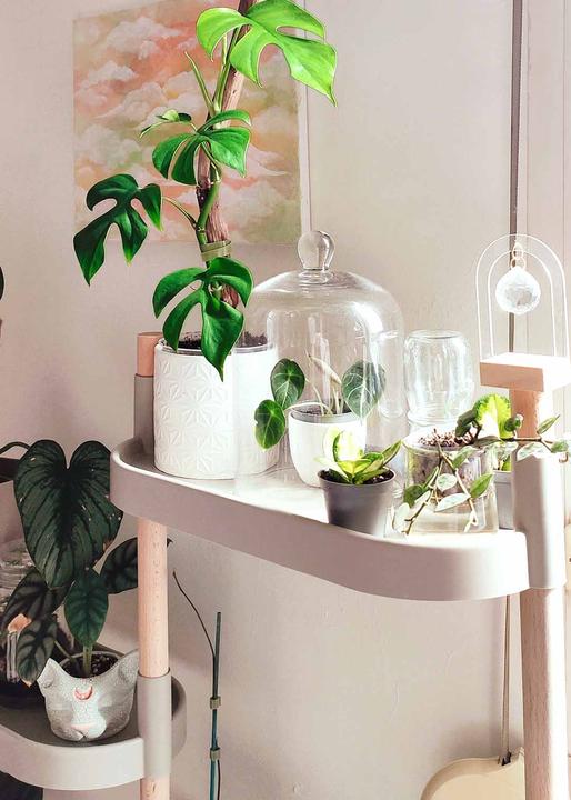 Image du produit CitySens Blumenregal