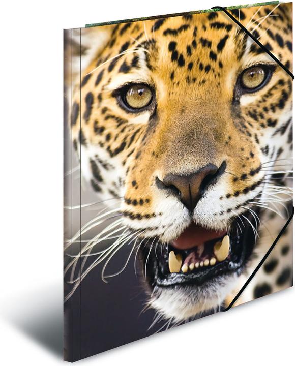 Image du produit HERMA Porte-documents A4 Motif (A4, 1 x)