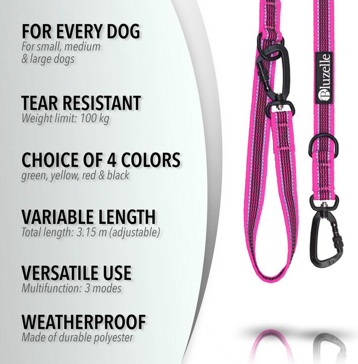 Produktbild Bluzelle 3m Hundeleine, Doppelleine Führleine mit Karabiner, Verstellbar (Hund)