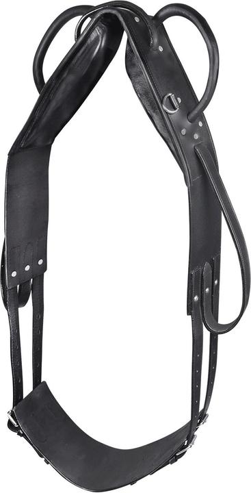 Waldhausen Longier- und Voltigiergurt