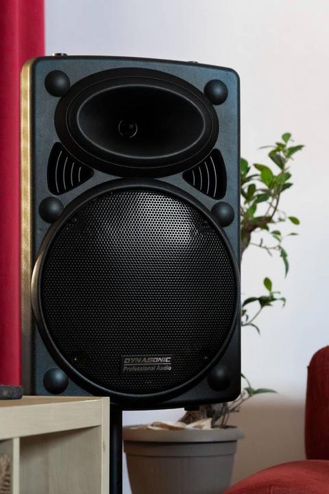 Immagine prodotto Dynasonic Dynapro 12 Plus (Attivo, 1x 700 W)