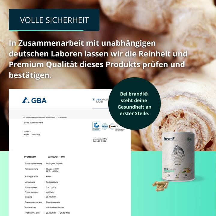 Actual product image Brandl Bio Ingwer (Ginger) (1 Piece, Capsules, 85 g)