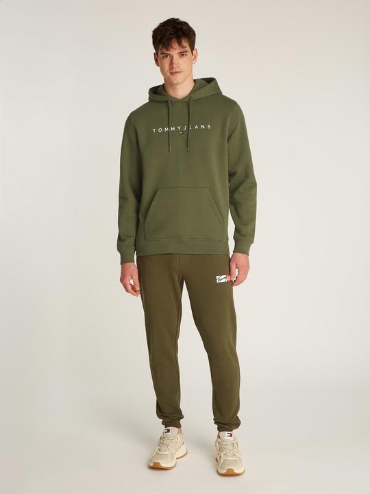 Productafbeelding Tommy Jeans Tjm Reg Linear Logo Hoodie Ext (L)