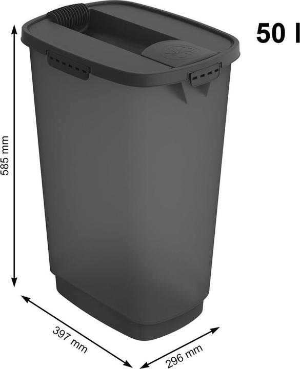 Actual product image Rotho Cody