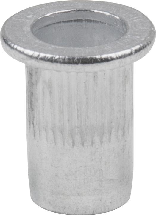Actual product image KS Tools Threaded rivets assortment, steel + aluminium, M3x9mm-M10x21mm, 300 pcs
