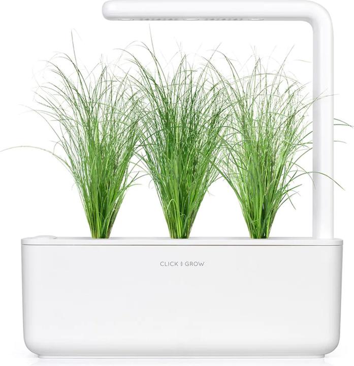 Actual product image Click and Grow Click & Grow Smart Refill decorative grass