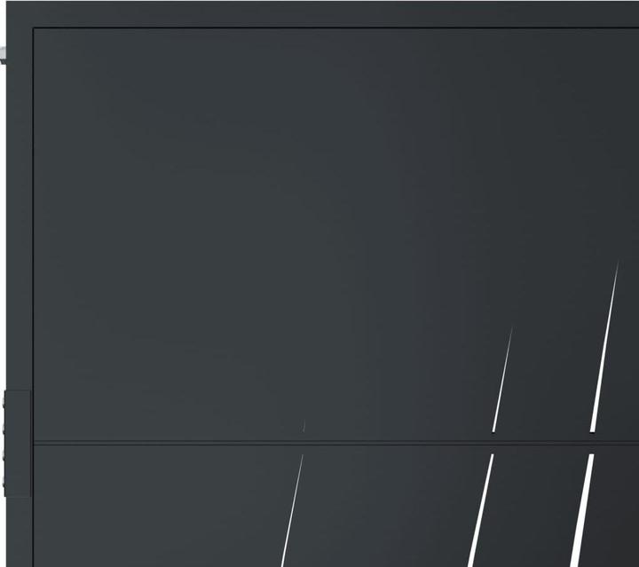 Image du produit vidaXL Gartentor