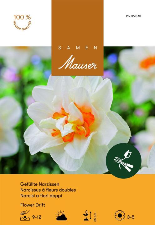 Image du produit Samen Mauser Narcisse à fleurs doubles Flower Drift (Bulbes de fleurs)