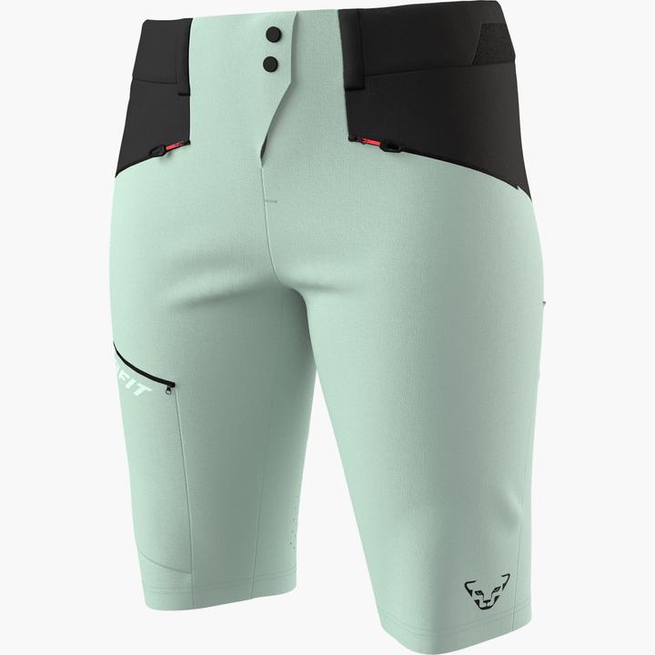 Actual product image Dynafit Transalper Dynastretch Shorts (XS)