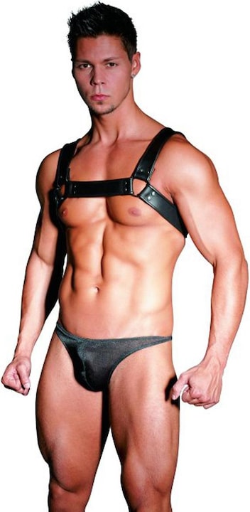 Actual product image Zado Chest Harness (M)