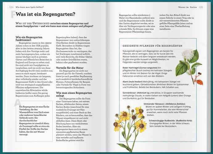 Immagine prodotto Können Igel schwimmen und gehen Bienen baden? (Tedesco, Helen Bostock, 2020)