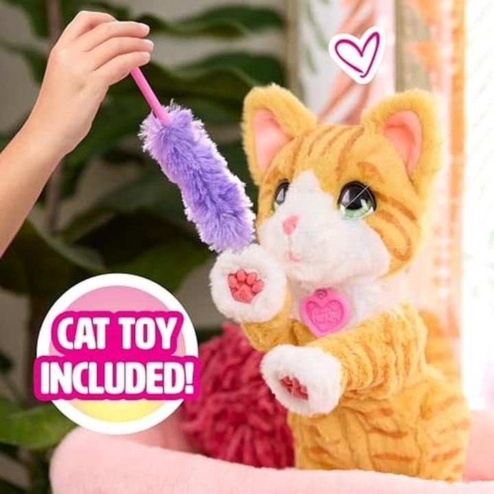 Productafbeelding Just Play FurReal Bella the Biscuit Making Kitty (18.20 cm)