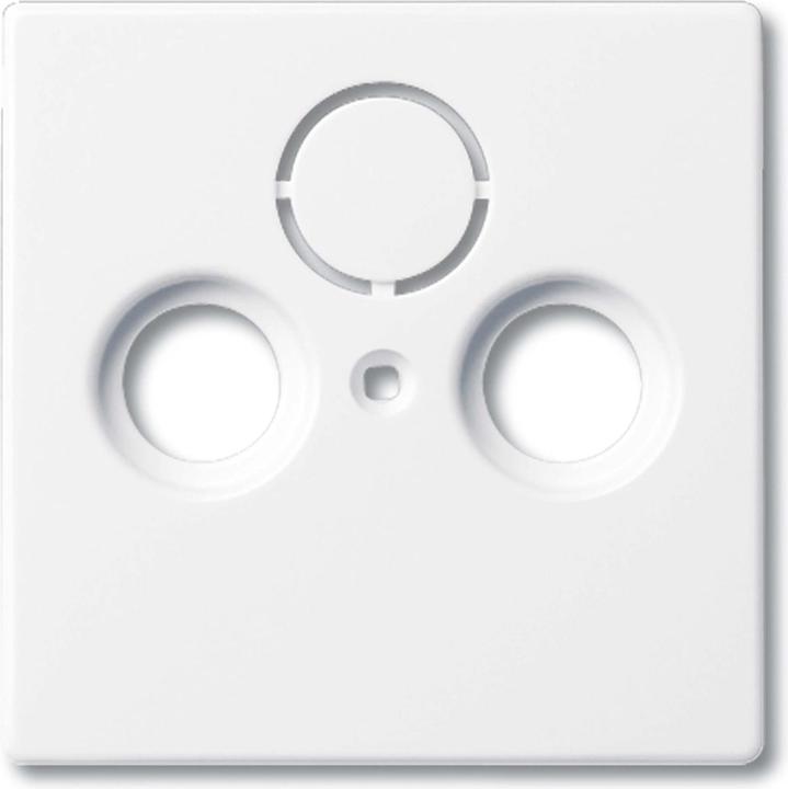 Produktbild Busch-Jaeger Zentralscheibe