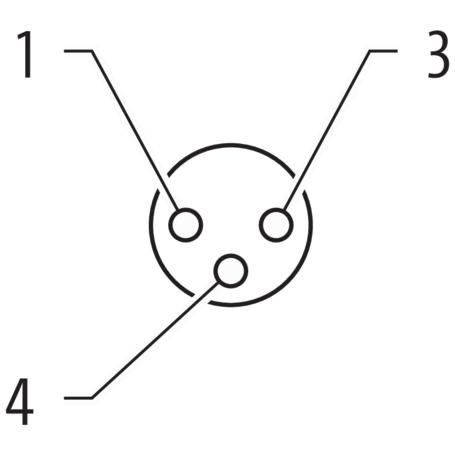Murr Elektronik Murrelektronik 7999-08081-6330500 Sensor-/Aktor-Steckverbinder, unkonfektioniert, Cavo + Spina elettrica