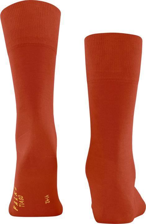 Actual product image Falke Tiago Baumwollsocken (Single pack, 39 - 40)