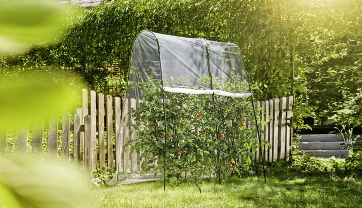 Image du produit Windhager Kit tunnel à tomates