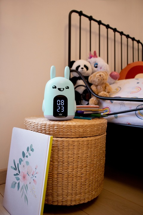 Actual product image Bigben Rabbit