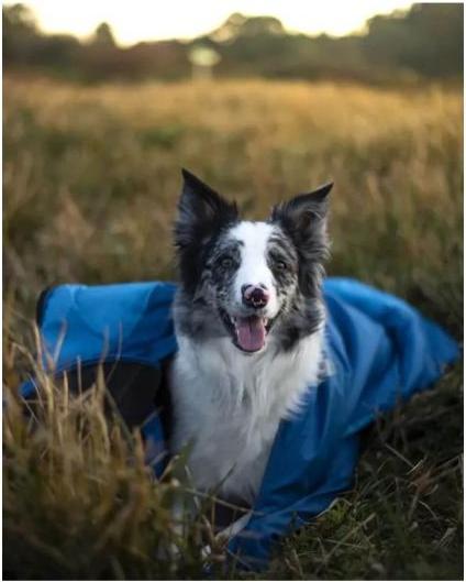 Immagine prodotto Non-Stop Dogwear Ly Sacco a pelo per cani (L, Cappotto per cani)