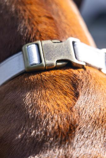 Actual product image Designed by Lotte Dog collar Velura (Dog, General)