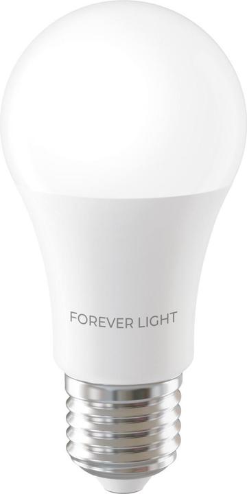 Actual product image Forever Light LED Bulb E27 A60 12.8W 1520lm 6000K class E (E27, 1520 lm, 1 x)