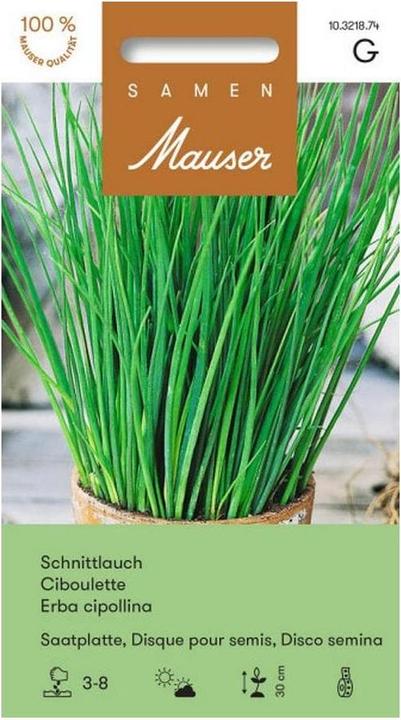 Immagine prodotto Samen Mauser Piatto di semi di erba cipollina (Semi di erbe)