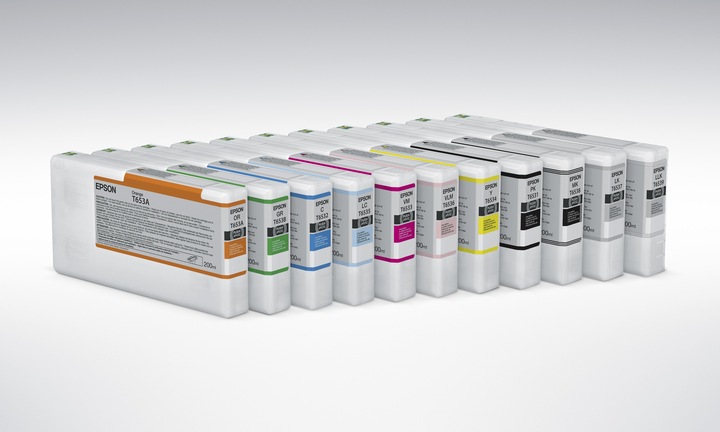 Actual product image Epson T913b (G)