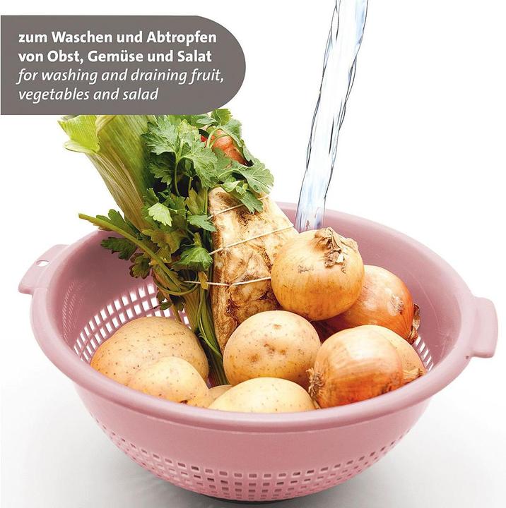 Image du produit Westmark Savon Ø24cm rose (24 cm)