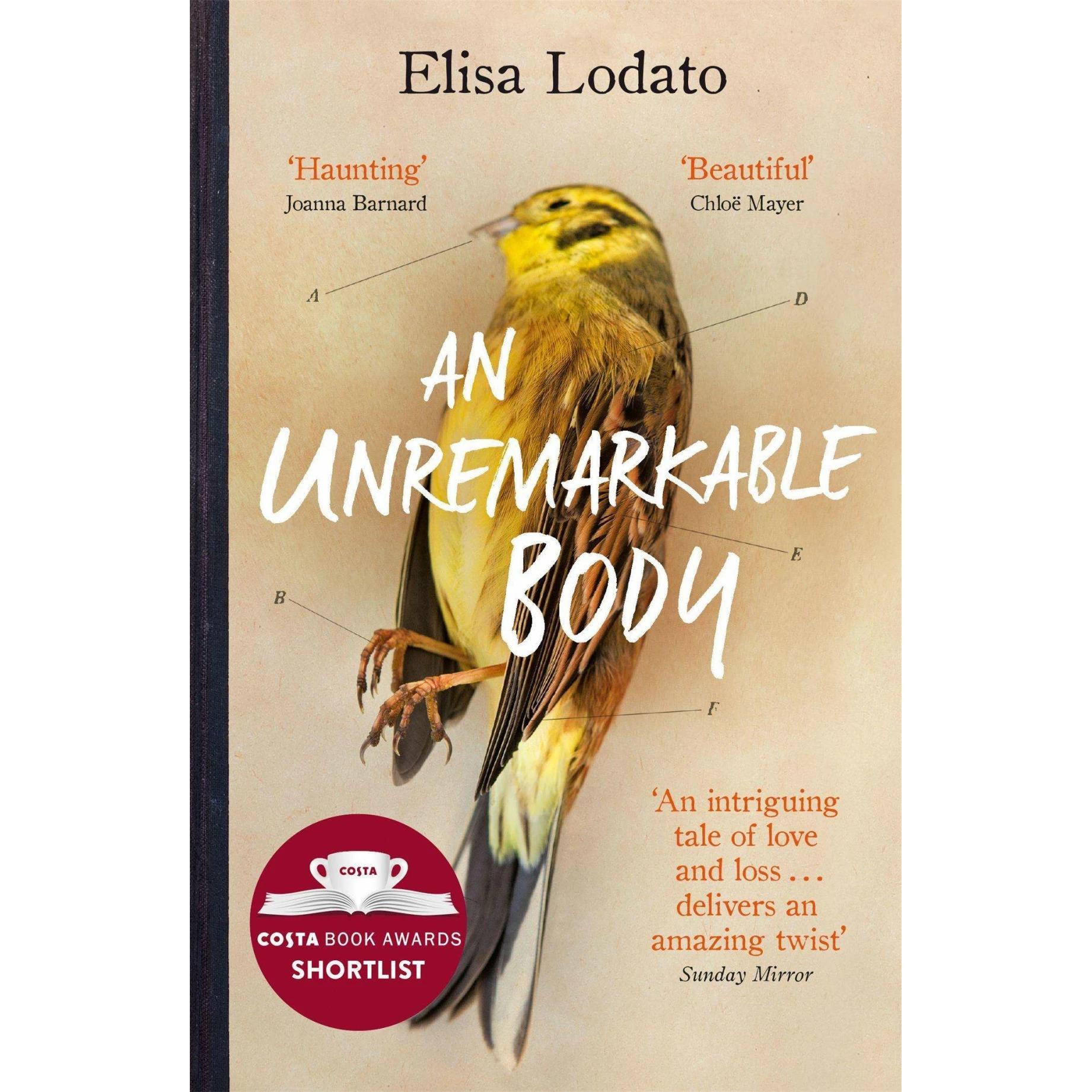 Thumbnail - Lodato:An Unremarkable Body, Belletristik von Elisa Lodato