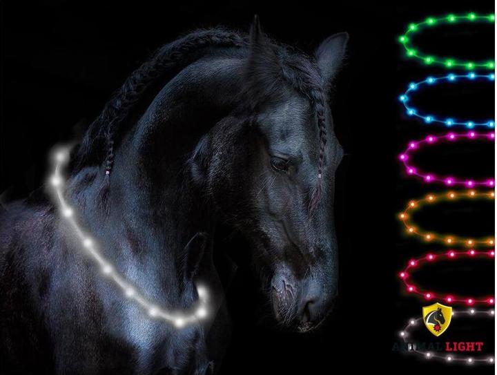 Animal Light Leucht-Halsriemen Flex