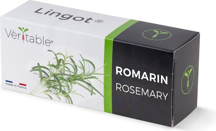 Véritable Rosmarin (Kräutersamen)