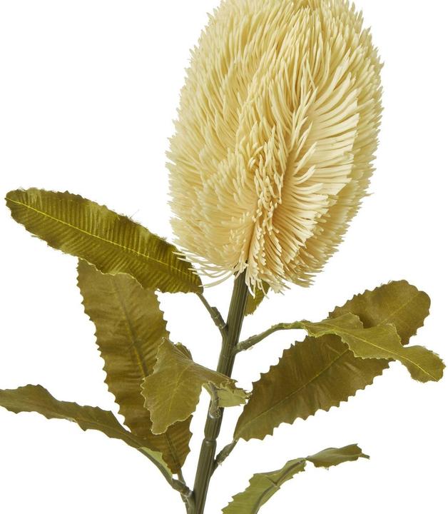 Actual product image Hill Interiors Banksia Serrata Artificial Flower (65 cm)