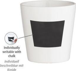 Actual product image Wenko Waia herb pot (13 x 13.50 cm)