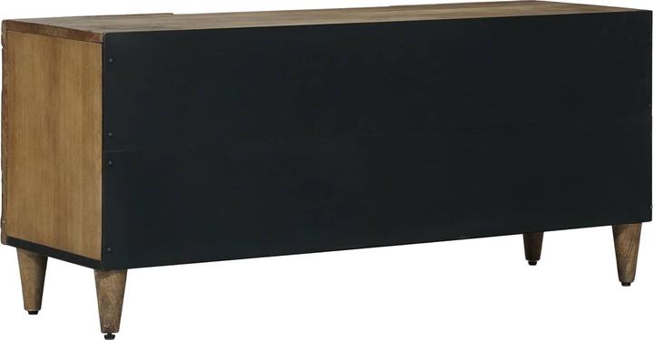 Image du produit vidaXL TV-Ständer (105 x 33.50 x 46 cm)