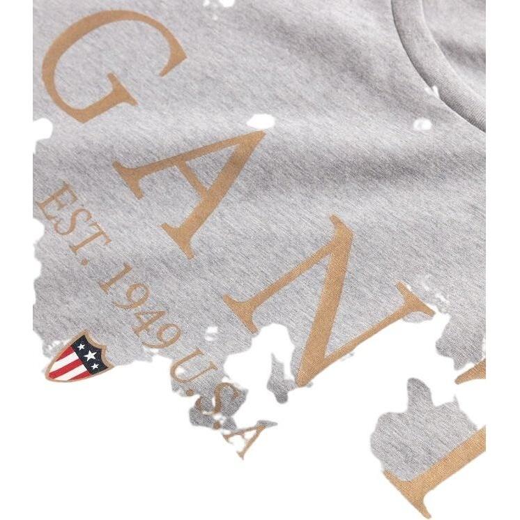 Thumbnail - GANT, Herren, Shirt, t-shirt, Grau, (L)