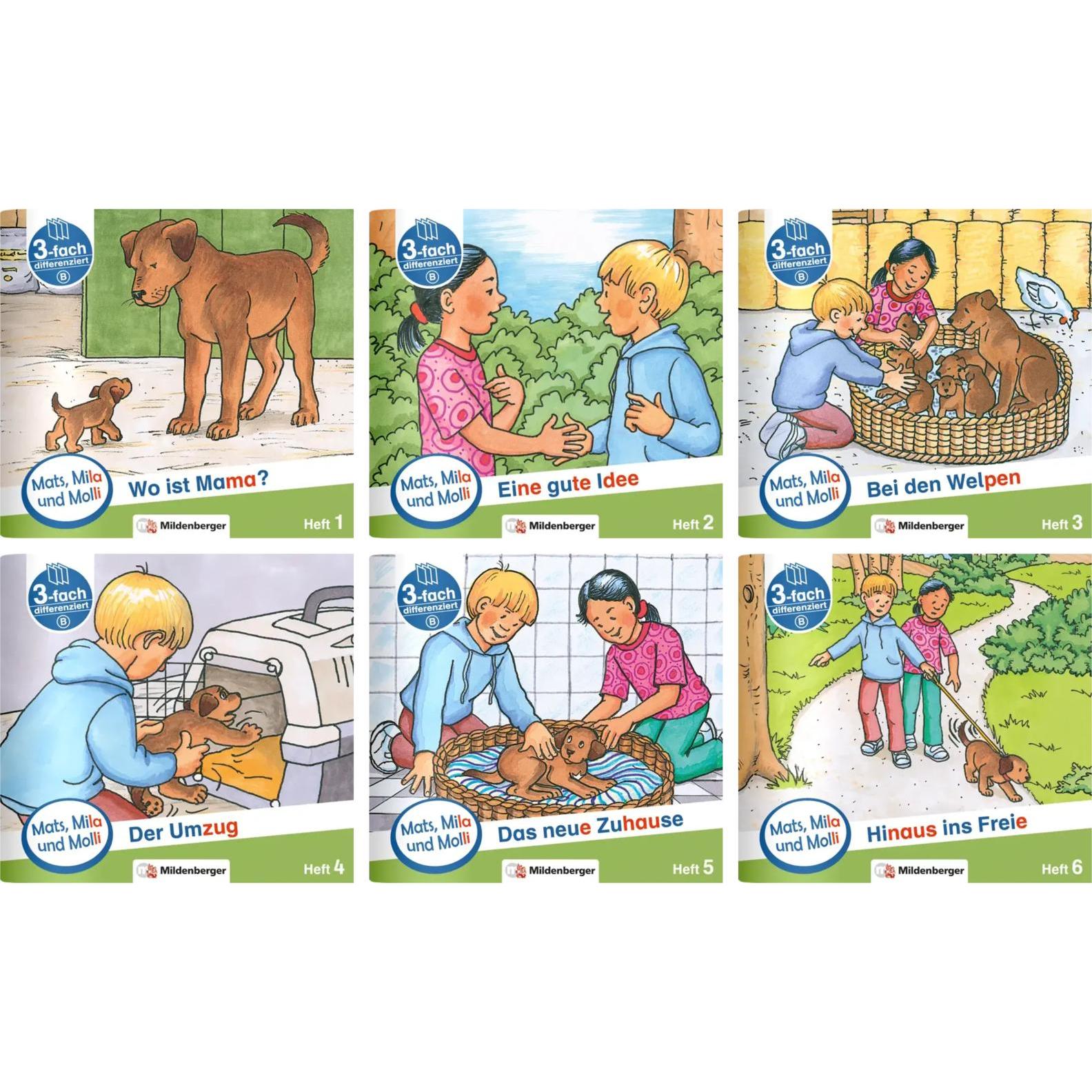 Mats, Mila und Molly - Schwierigkeitsstufe B, 6 Bde.. H.1-6, Schulbücher von Helge Weinrebe