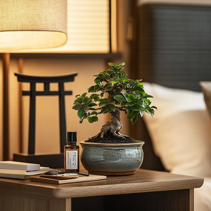 Image du produit Plant in a Box Carmona microphylla - Bonsaibaume (25 cm)