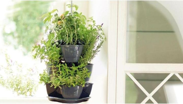 Actual product image Prosperplast Triple Pot for Herbs Coubi Herbal Anthracite