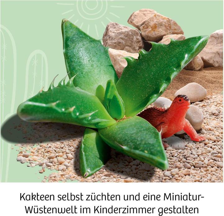 Actual product image Kosmos Cactus desert