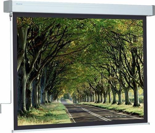 Actual product image Projecta Hapro Manual Classic 300x300 MW 1:1 no Border (167", 1:1)