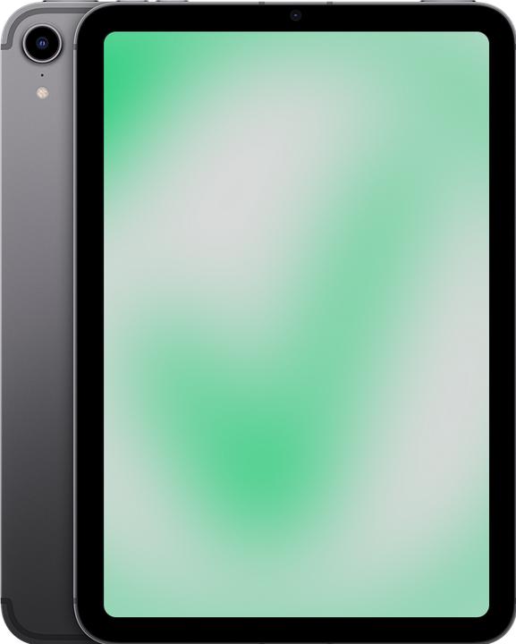 Revendo iPad mini 6. Gen (2021) (5G, 8.30", 256 GB, Space Grau, C / Gut)