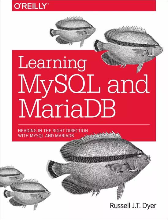 Immagine prodotto Imparare MySQL e MariaDB (Inglese, 2015)