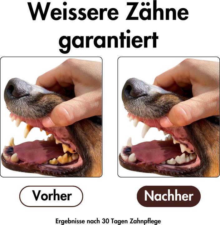 Produktbild Suba Hundezahnbürste (Hund)