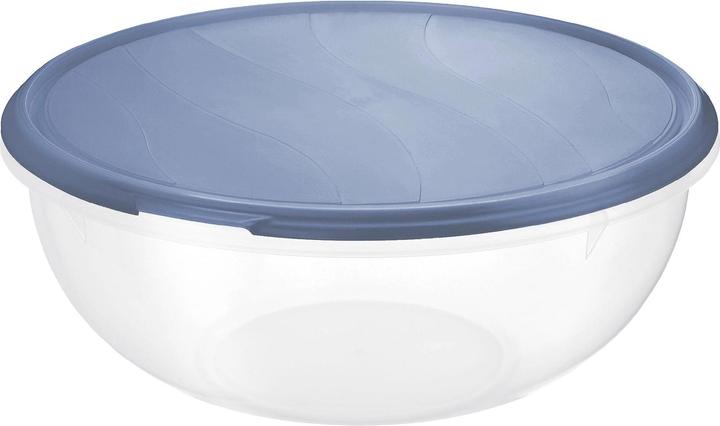 Rotho Schüssel Rondo (6 l)