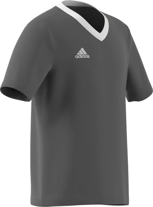 Produktbild adidas Entrada 22 Trikot (140)
