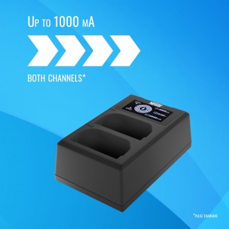 Actual product image Newell charger FDL-USB-C Dual-Channel Sony NP-FZ100 (Charger)
