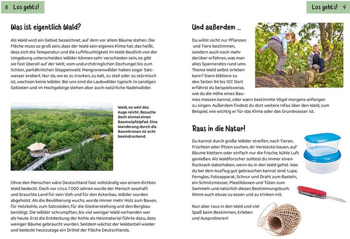 Actual product image Kosmos Was lebt im Wald? Kindernaturführer (German, Holger Hague, 2024)