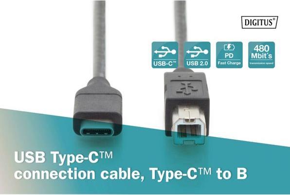 Image du produit Digitus USB C – USB B (1.80 m, USB 2.0)