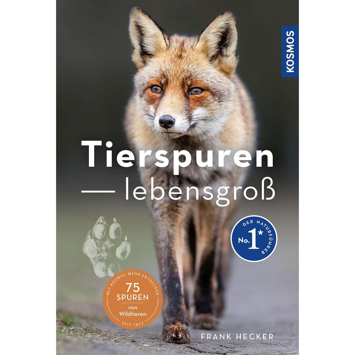 Thumbnail - Tierspuren lebensgross, Ratgeber von Frank Hecker