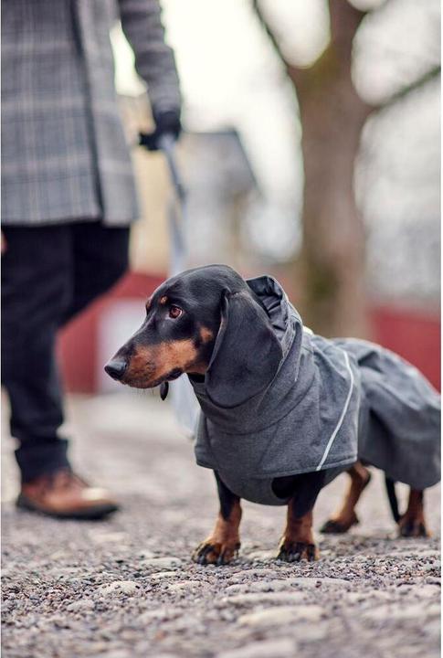 Produktbild Hurtta Expedition Parka II, blackberry 65 (65, Hundemantel)